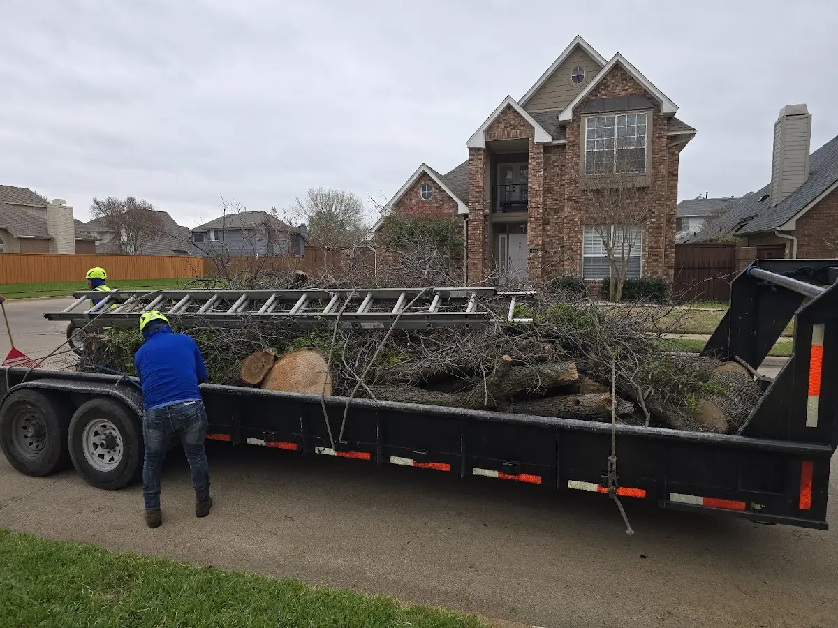 Expert Lot Clearing with proper safety equipment in Fairview Heights